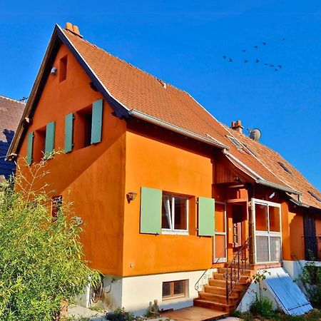 Beau Logement Au Centre D'Alsace Epfig Экстерьер фото